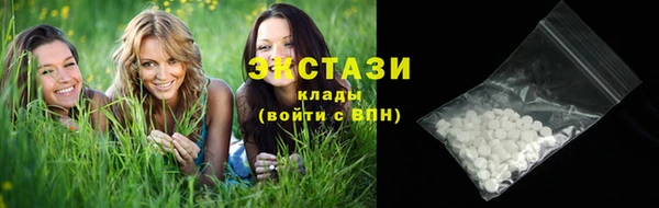 гидра Покачи