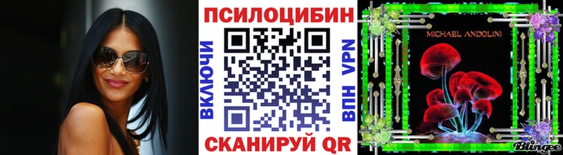 блэк спрут ссылки  Неман  Псилоцибиновые грибы GOLDEN TEACHER 